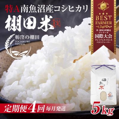 ふるさと納税 南魚沼市 【毎月定期便】【産地限定 棚田米】 新潟県 南魚沼 コシヒカリ 5kg 精米 日熊の米 棚田全4回
