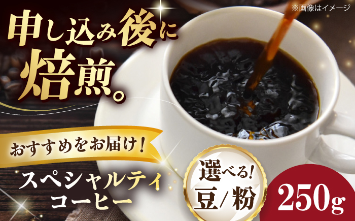 
            【選べる内容量/豆or粉】コーヒー豆 スペシャルティコーヒー おすすめ1種 250g or 500g ドリップ 飲料 愛媛県大洲市/株式会社日珈[AGCU025] コーヒー 珈琲 豆 粉 自家焙煎 焙煎 ドリップコーヒー おすすめ 人気 お取り寄せ 送料無料 贈答 ギフト
          