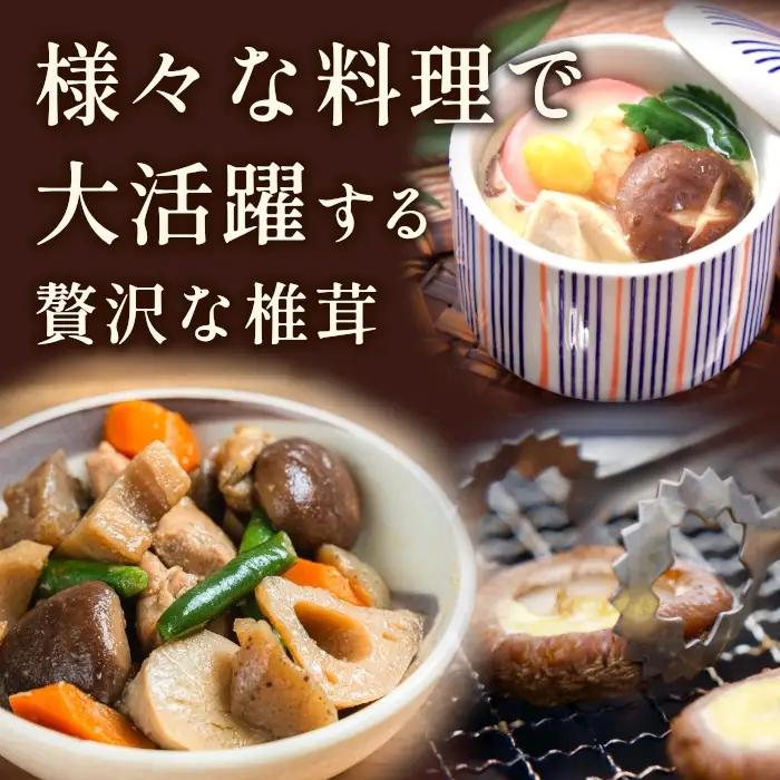 無農薬栽培 原木しいたけ！とよくに清流 ほししいたけ 200g 椎茸 シイタケ 野菜 バーベキュー 肉厚-017