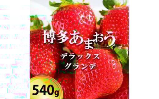いちご 博多あまおう デラックス&グランデ 2パック 【お申込：2025年2月10日迄、配送：2月16日～2月28日】