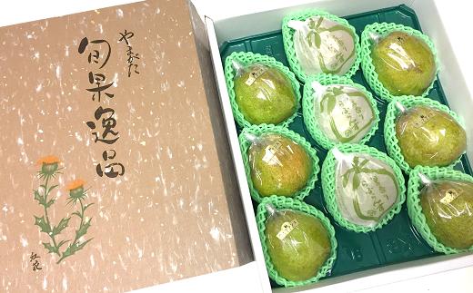 9玉入りイメージ