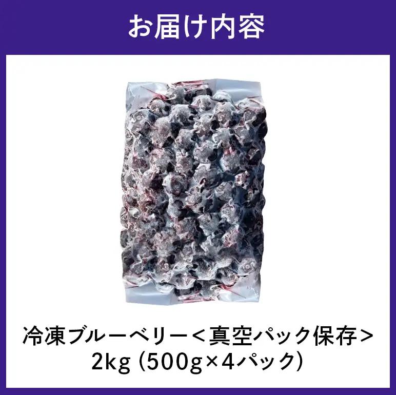 冷凍ブルーベリー＜真空パック保存＞2kgパック(500g×4P) A16-017 ブルーベリーファクトリー