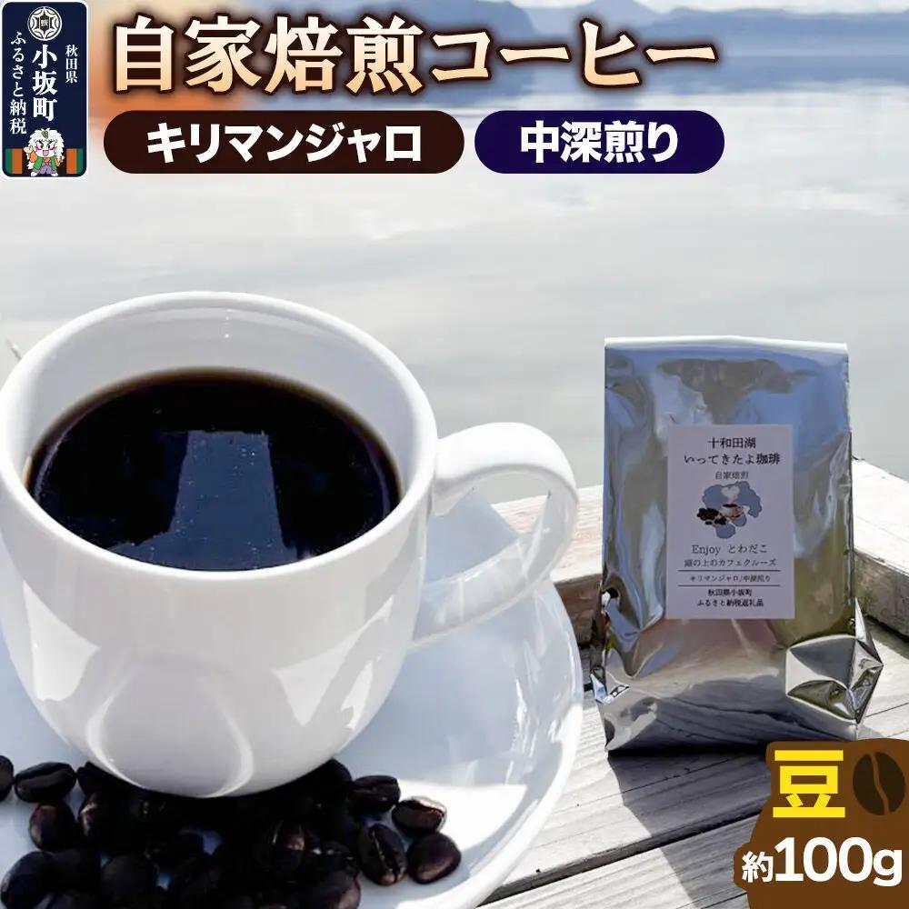 自家焙煎コーヒー キリマンジャロ （AAキボ）／中深煎り 豆100g ＜クロネコゆうパケット＞