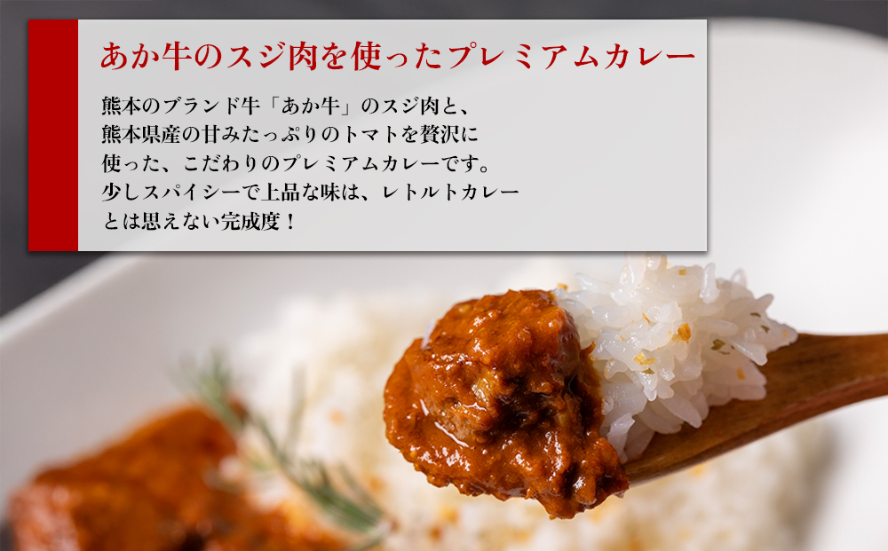 あか牛トマトバターカレー 200g×5個 温めるだけ 簡単 美味しい 阿蘇はなびし食品研究所 加工食品 詰め合わせ セット お取り寄せ 惣菜 おかず グルメ ギフト 贈答品 御礼 お祝い 御祝 ランチ