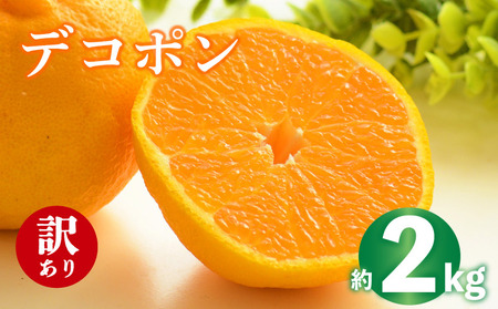 デコポン 不知火 約2kg 2026年 先行予約  訳あり デコポン デコポン デコポン