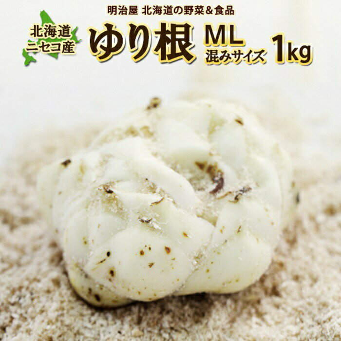 【ふるさと納税】北海道ニセコ町 ゆり根M-L混みサイズ1kg【2025年産】【3200301】