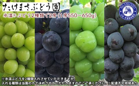 氷温  (登録商標)  ぶどう お任せ 2種類で2房（1房550～650g） 産地直送 ブドウ 葡萄  岡山県産 国産 フルーツ 果物 ギフト たけまさぶどう園