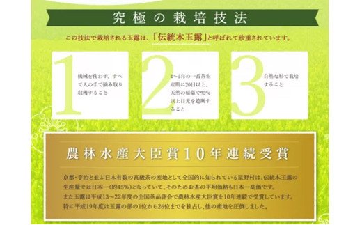 八女星野 深蒸し茶(6本詰め)