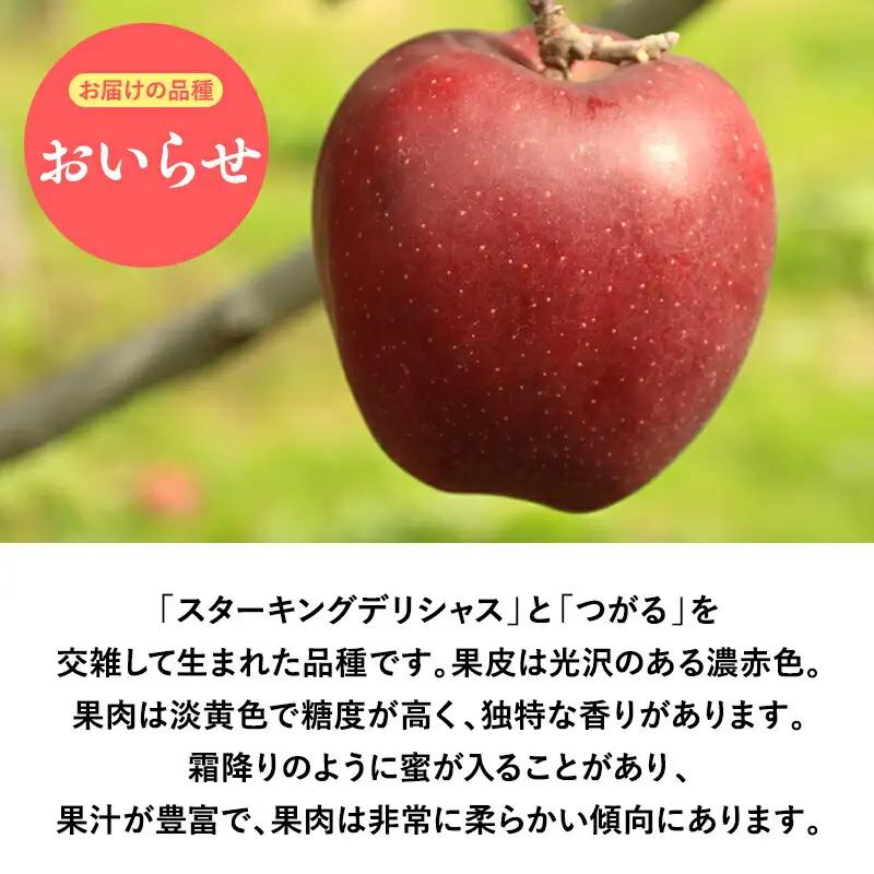りんご 贈答用 おいらせ10kg [hi-0053-040]