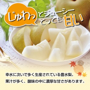 SA2564　酒田の果物専門店厳選　刈屋産 豊水梨　約3kg(7～9玉入)