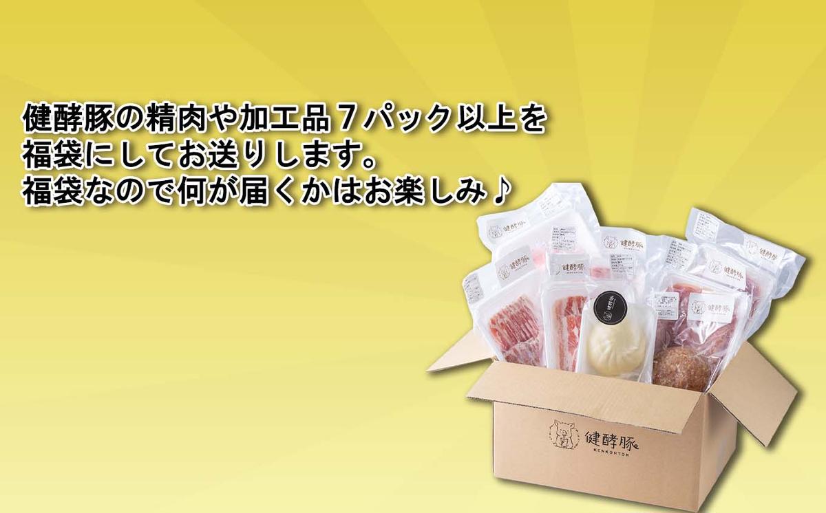 ＜ 定期便 12回 ＞ 北海道産 健酵豚 お楽しみ 福袋 （ 加工品