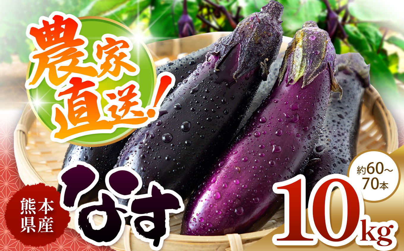 
            なす 約 10kg 和水町産 野菜 5月頃～発送いたします | 熊本県 熊本 くまもと 和水町 なごみまち なごみ なす ナス 茄子 なすび 野菜 季節の野菜 季節限定
          