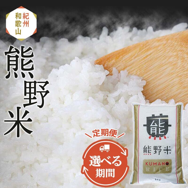 【ふるさと納税】米 熊野米 選べる容量 15kg 30kg 60kg 定期便 3か月 6か月 12か月 / 田辺市 熊野 熊野米 ブランド米 米 ひかり新世紀 お米 コシヒカリ型品種 和歌山 紀州 ご飯