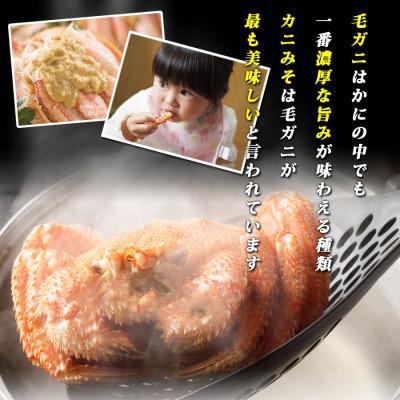 ふるさと納税 網走市 北海道 網走産 毛ガニ 400g前後 |  | 02