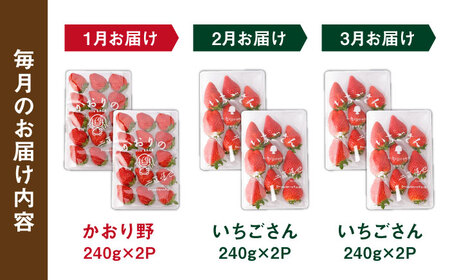 先行予約 2027年1月〜発送 【3回定期便】赤いちご食べ比べ！かおり野＆いちごさん 定期便 / いちご [IBJ007]