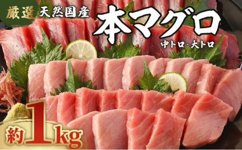 厳選 天然本マグロ 中トロ・大トロ 1kｇ以上 国産 マグロ 鮮魚 魚 高知県 刺身 刺し身 漬け丼 海鮮丼 おかず 魚介類 海鮮 海産物 まぐろ 本まぐろ 鮪 ブロック 惣菜 冷凍 美阿丸 高知県 室戸市