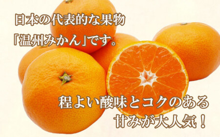 【愛媛みかん】 3kg みかん