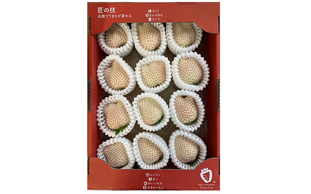 白い宝石（フルーツキャップ）1箱（約470g） / 佐賀県 / 手島農園 [41ABAB007]