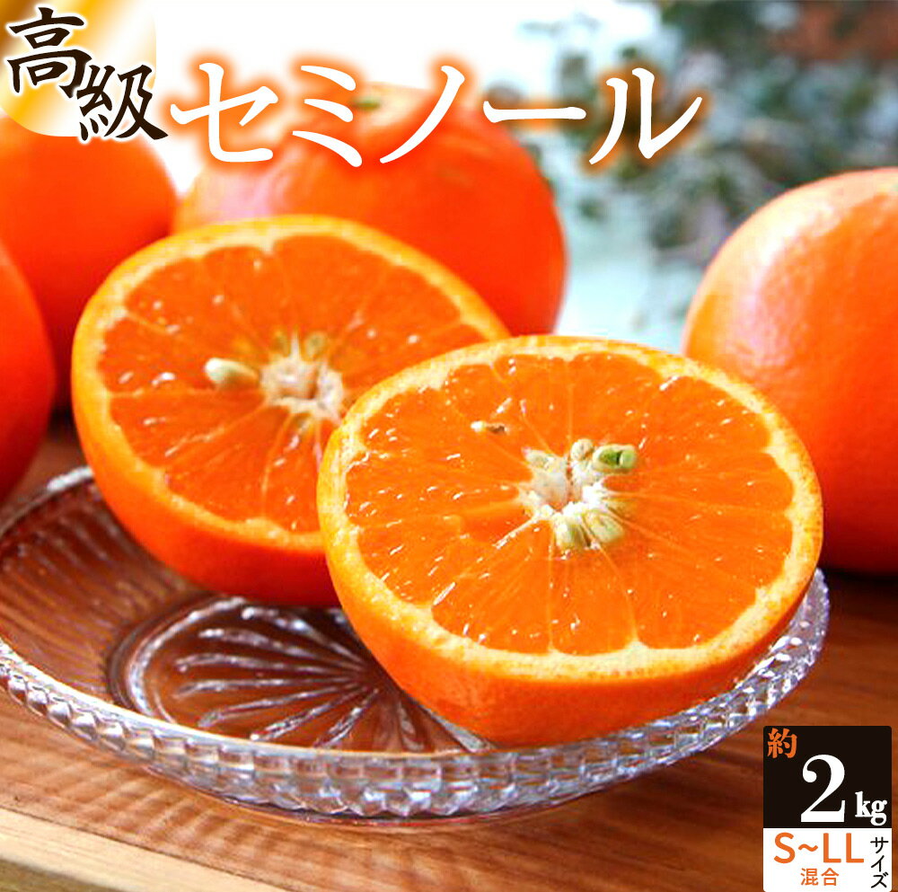 【ふるさと納税】【先行予約】主井農園 高級 セミノール 2kg サイズ混合【ミカン 蜜柑 春みかん 柑橘 オレンジ】