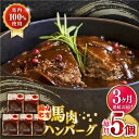 【ふるさと納税】【全3回定期便】国内肥育 冷凍 馬肉ハンバーグ 計1kg ( 200g × 5個 ) デミグラスソース入り 小分け 個包装 惣菜 湯煎 熊本【有限会社 丸重ミート】[YAK025]