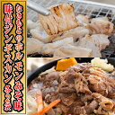 【ふるさと納税】たきもとのホルモン（みそ味）・味付ジンギスカン　【焼肉 バーベキュー 羊肉 ラム肉 ホルモン ふるさと納税 ジンギスカン】