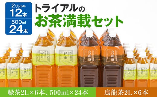 
										
										トライアルのお茶満載セット（緑茶2L×6本・烏龍茶2L×6本・緑茶500ml×24本）
									