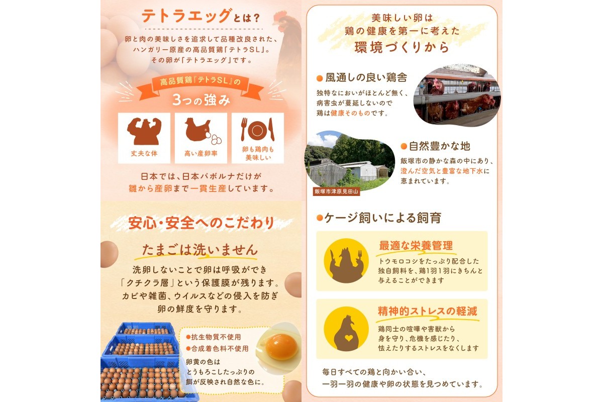 【A-807】テトラエッグ特選卵『バボルナの宝石』30個入