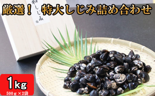 厳選 冷凍 しじみ 1kg (各500g×1袋) 宍道湖産 神西湖産 食べ比べセット | 宍道湖 神西湖 しじみ 小分け 砂抜き済 貝 詰め合わせ お取り寄せ グルメ kai cai 栄養 料理 調理 レシピ 蜆 島根県 出雲市