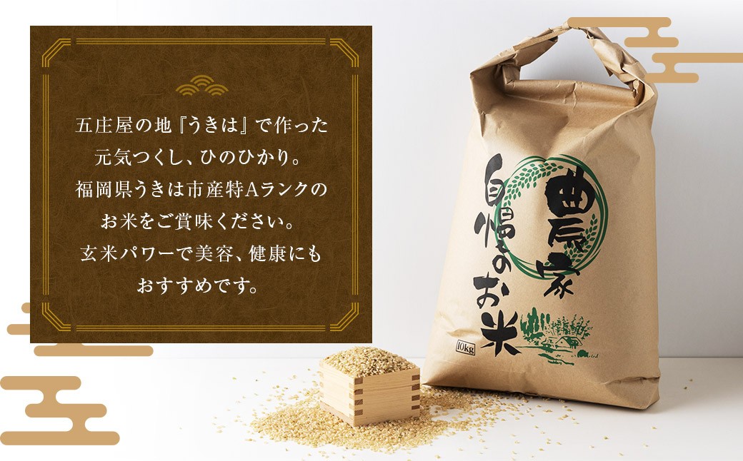【特Aランク米】五庄屋の地で作ったお米 食べ比べセット 玄米 (元気つくし 5kg・ひのひかり 5kg) 計10kg