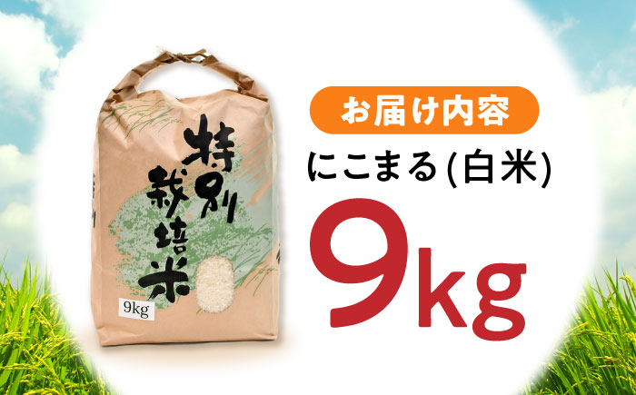 【最速発送】【特別栽培米】九州のこだわり「にこまる」白米9kg / 米 おこめ お米 白米 にこまる / 諫早市 / 上島農産 [AHAS001] スピード 最短 最速 発送