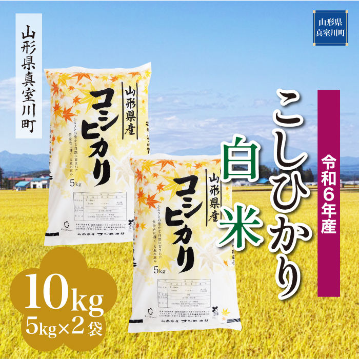 <令和6年産米受付開始　配送時期が選べる＞　こしひかり 【白米】 10kg （5kg×2袋） 真室川町