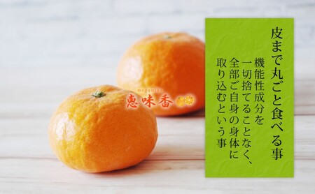 佐賀みかん ワイン “味香ワイン” 赤仕立て 辛口・甘口 720ml 各1本 お酒 アルコール