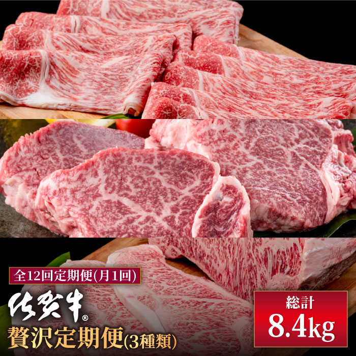 【ふるさと納税】【肉のプロが厳選！】【12回定期便】佐賀牛 贅沢 定期便【株式会社いろは精肉店】和牛 ブランド牛 お肉 肉 牛肉 冷凍 ロース ヒレ フィレ ステーキ すきやき すき焼き しゃぶしゃぶ 切落し 切り落とし [IAG076]