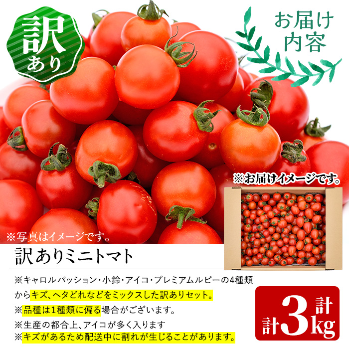 ＜先行予約受付中！2026年2～3月の間に発送予定＞訳あり 規格外 数量限定 門川町産 ミニトマト(計3kg)  訳あり 規格外 数量限定 門川町産 ミニトマト 期間限定 生活応援 とまと 野菜 ミッ