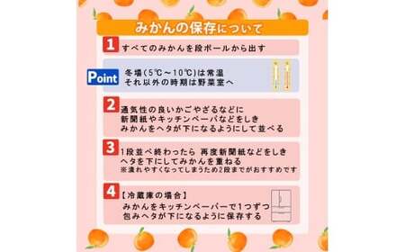 【甘平】約2.8ｋｇ（良品） ＜2月頃発送 ＞ みかん ブランド 柑橘 フルーツ 果物 愛媛 松山【PT038_x】