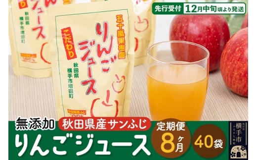 《定期便8ヶ月》 無添加りんごジュース（サンふじ）40パック