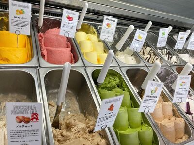 【下野ブランド】ジェラート アソート 12個セット  | 栃木県 下野市