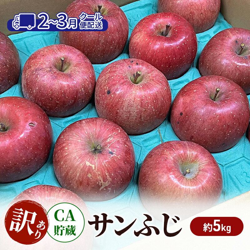 【ふるさと納税】りんご 【2-3月クール便配送】 CA貯蔵 訳あり サンふじ 約 5kg リンゴ 果物 訳アリ 青森県 鶴田町　お届け：2026年2月24日～2026年3月19日