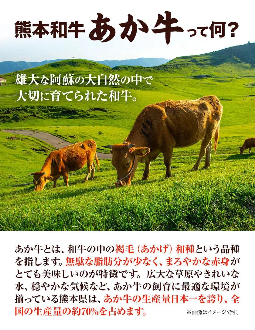 熊本和牛 あか牛 餃子 60個 