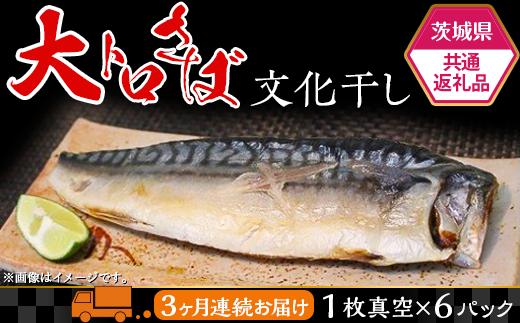 
            茨城限定 極上干物 大トロさば文化干し【 定期品 3ヶ月 連続お届け 】【 大トロ さば 鯖 文化干し サバ パック 干物 おかず 便利 魚 焼き魚 】【茨城県共通返礼品/神栖市】
          