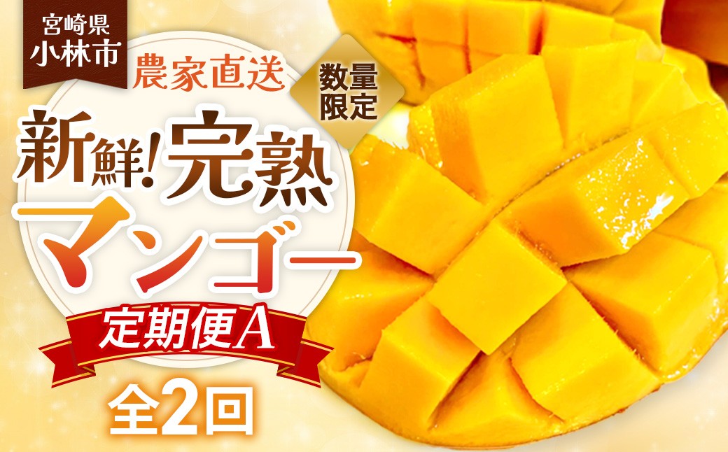 
                  【定期便】数量限定/契約農家直送の新鮮完熟マンゴー定期便A（完熟マンゴー×2回）※30セット マンゴー フルーツ 果物 完熟 新鮮 宮崎県小林市
                