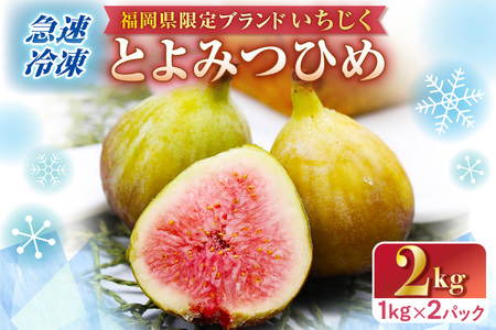 急速冷凍！福岡県特産品プレミアムいちじく「とよみつひめ」冷凍いちじく 大容量2kg【JAほたるの里】_HA0279