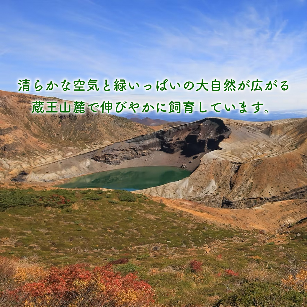 蔵王合鴨　ロース・ももスモークセット　【04301-0785】_イメージ2