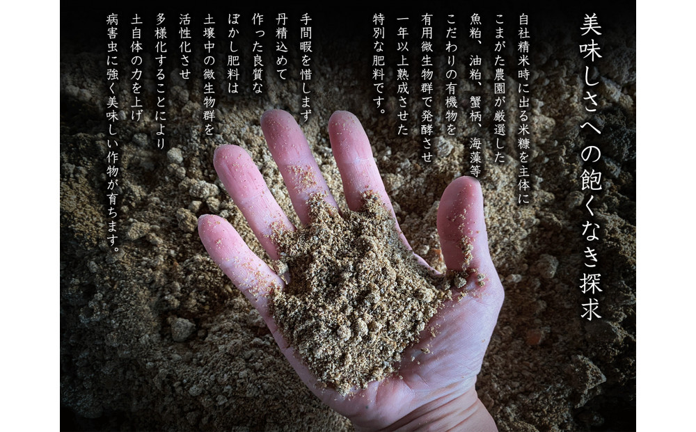 【令和8年産新米予約】最高金賞受賞  数量限定南魚沼産コシヒカリ  数量限定 化学肥料不使用・農薬8割減栽培米「こまがた家のお米」5kg【2026年9月下旬より順次発送予定】