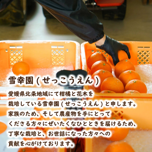 【愛媛産】ひめジュース（はれひめストレートジュース）720ml×2本 ｜柑橘 ジュース 果汁100% 愛媛産 みかんジュース ストレートジュース みかん 柑橘 はれひめ 期間限定 雪幸園 愛媛県 松山