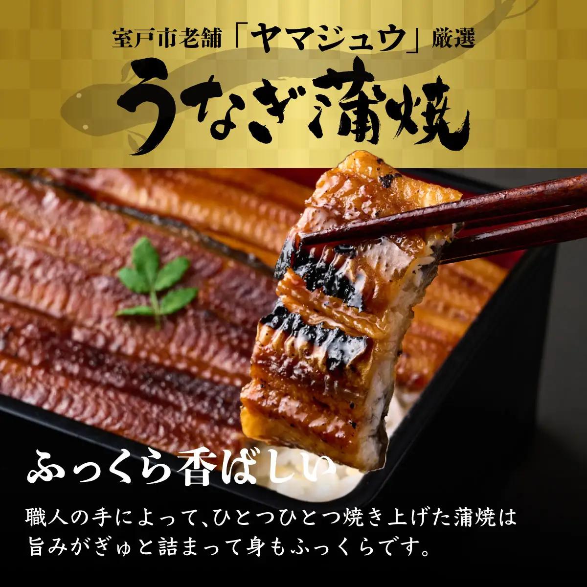 【12回 定期便】うなぎ 蒲焼き 2尾 定期便 12回 うなぎ yj057