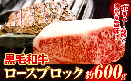 黒毛和牛 ロース ブロック600g エムエスエイ (株)《30日以内に出荷予定(土日祝除く)》|ロースロースロースロースロース