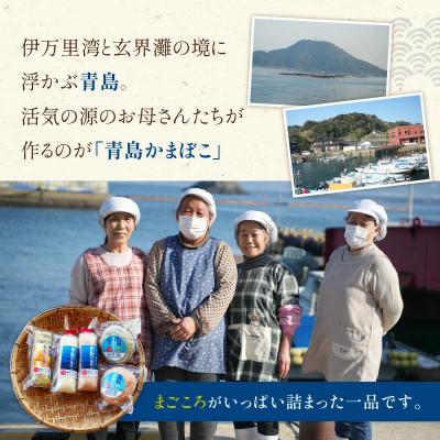 ふるさと納税 松浦市 FISH&SALT  ONLY  青島かまぼこ(10個入り) |  | 02