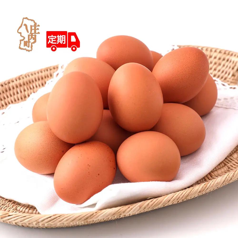 【定期便】地養卵 50個 MS~Lサイズ 6ヶ月 毎月お届け 新鮮 卵 たまご 鶏卵 生卵 地養卵 赤たまご スズキのたまご【9月中旬発送】