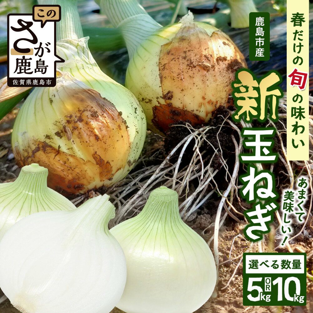【ふるさと納税】先行予約 新玉ねぎ 5kg / 10kg 《鹿島市産》 玉ねぎ たまねぎ 玉葱 国産 甘い 新鮮 春野菜 サラダ 料理 大容量 産地直送 旬 野菜【2026年4月中旬より順次発送】佐賀県 鹿島市 人気 A-207